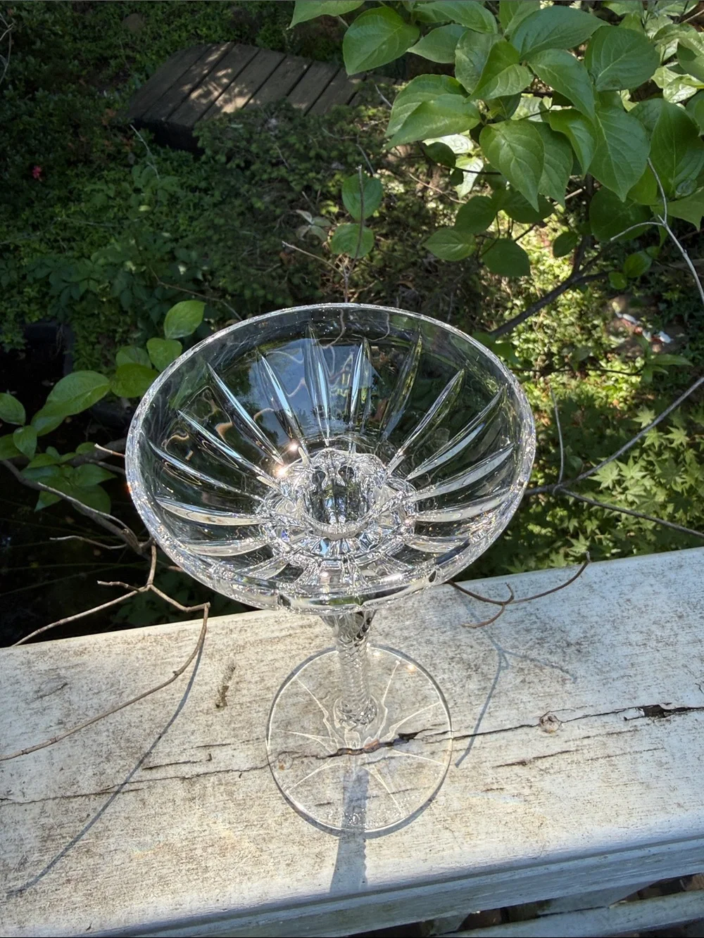 Crystal Footed Champagne Glass or dessert coupe